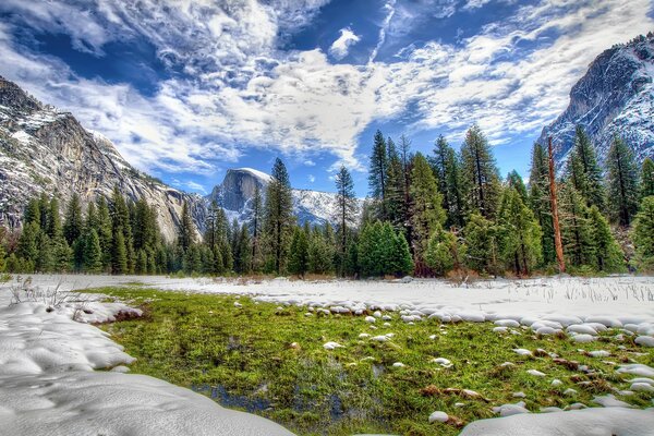 Foresta invernale con vista sulle montagne