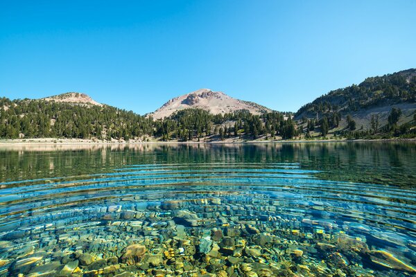 Reserva nacional de California