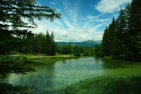 Lake toblacher among mountains and forests in Italy