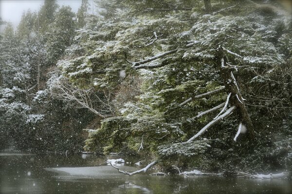 Paesaggio invernale in nevicata