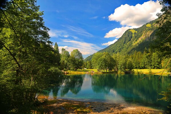 A quiet lake in the depths of the forest