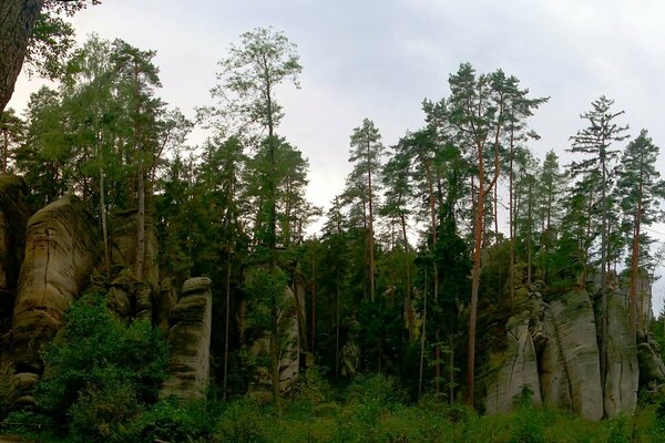 Dans cette forêt, les rochers s étendaient vers le ciel. Incroyablement volumineux