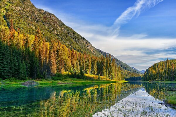 En verano, todo florece y huele, la vida hierve y todo respira y oye el cielo, las montañas, el lago, los árboles alaban al creador
