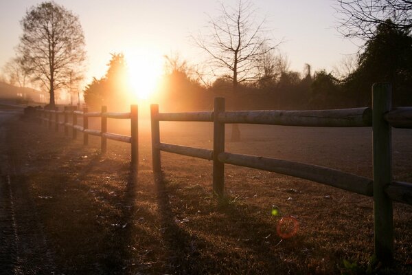 Dawn in the village photo in excellent quality