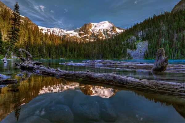 Forest and mountains are reflected in the lake