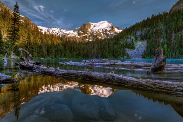 Forêt et montagnes se reflètent dans le lac