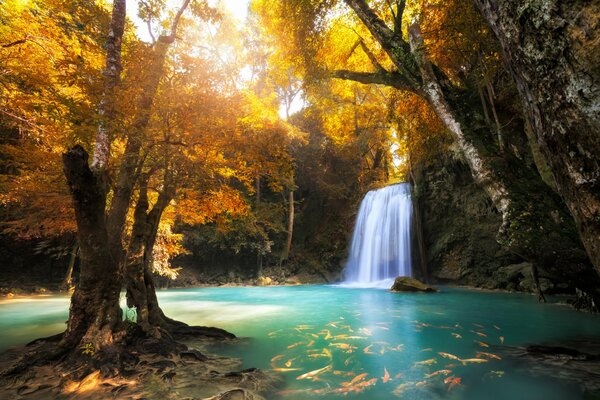 Waterfall in a quiet autumn forest