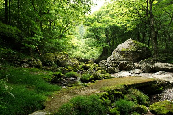 The river runs over the rocks