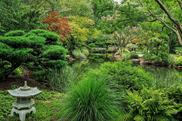 Image of a Japanese green garden with a pond, shrubs in the garden