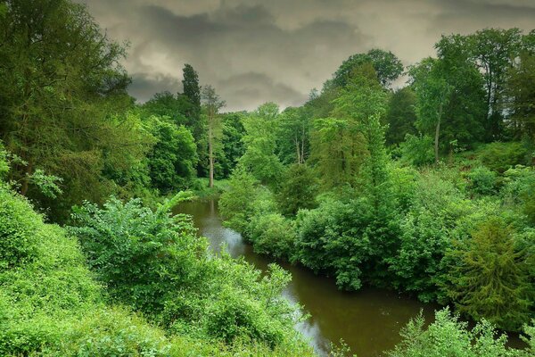 Wolken am Himmel in Bäumen Landschaft