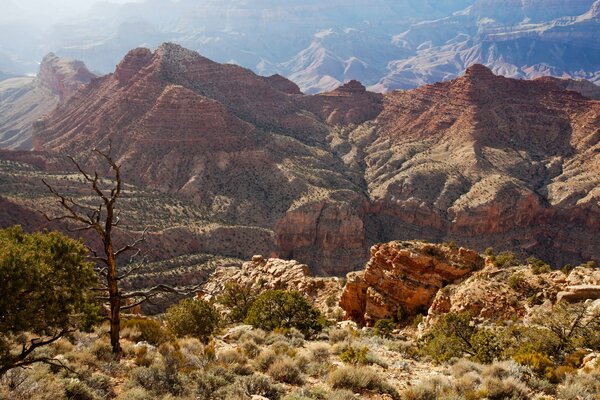Beautiful Canyon and rocks in America