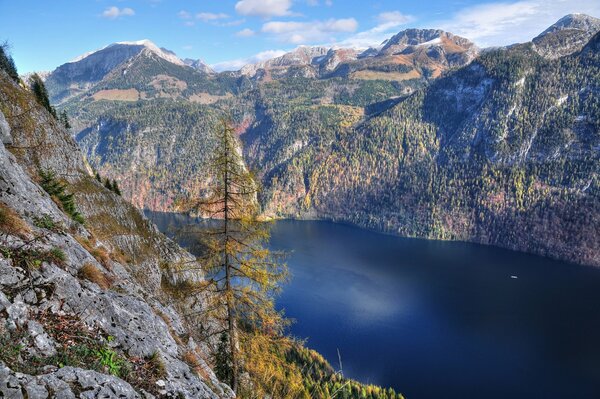 Épinette sur le flanc de la montagne et le lac bleu