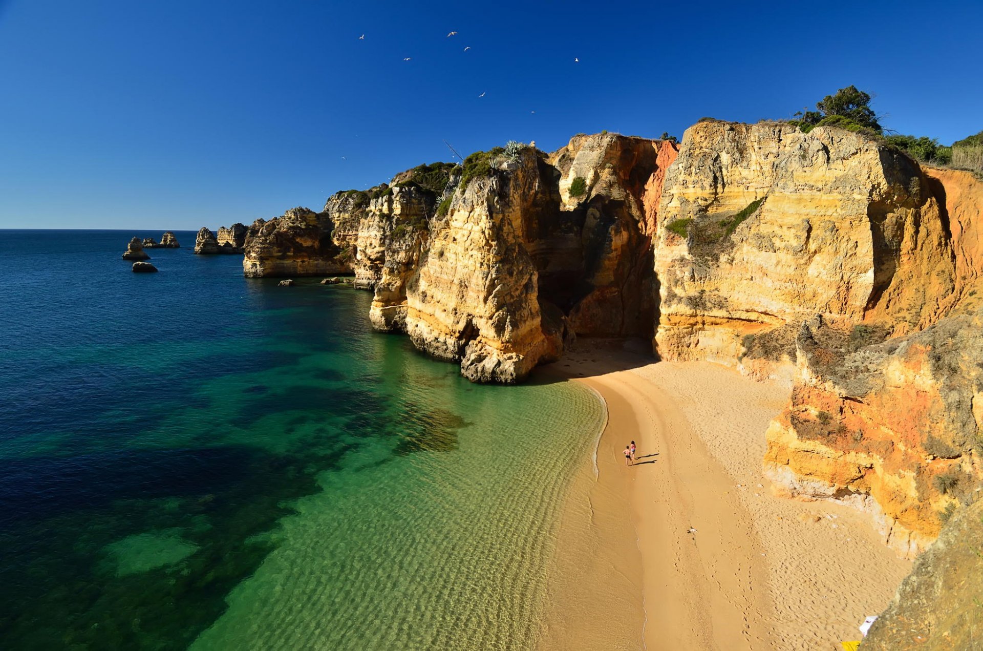 nature beach rock ocean coast