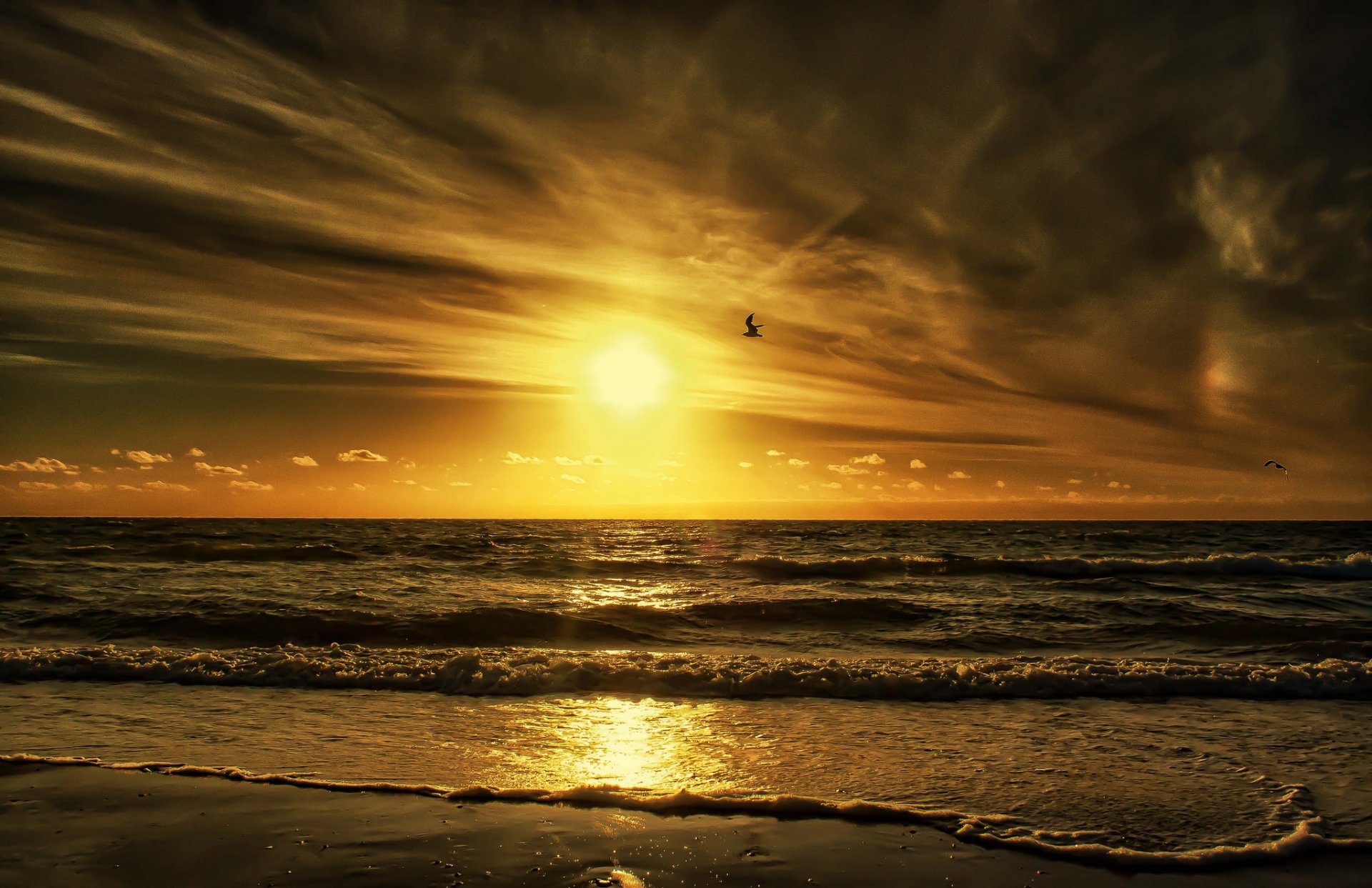 himmel wolken sonnenuntergang sonne meer vogel