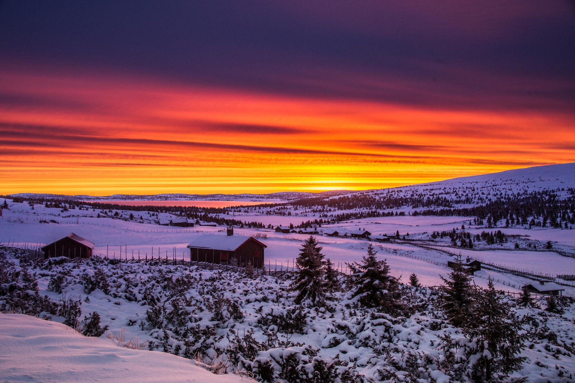 winter snow house landscape dawn tree