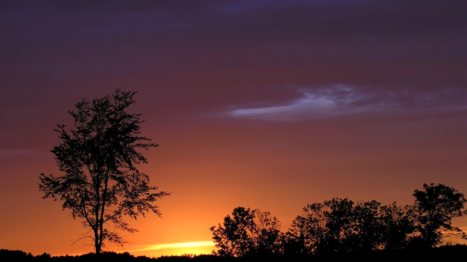 ciel nuages coucher de soleil horizon arbre silhouette