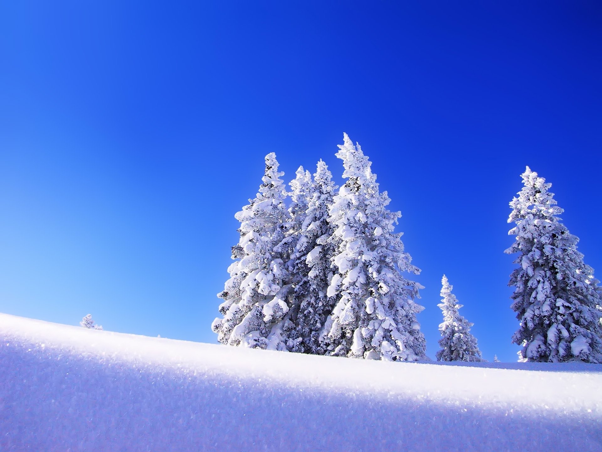 landschaft winter schnee himmel tanne weihnachtsbaum bäume morgen frost