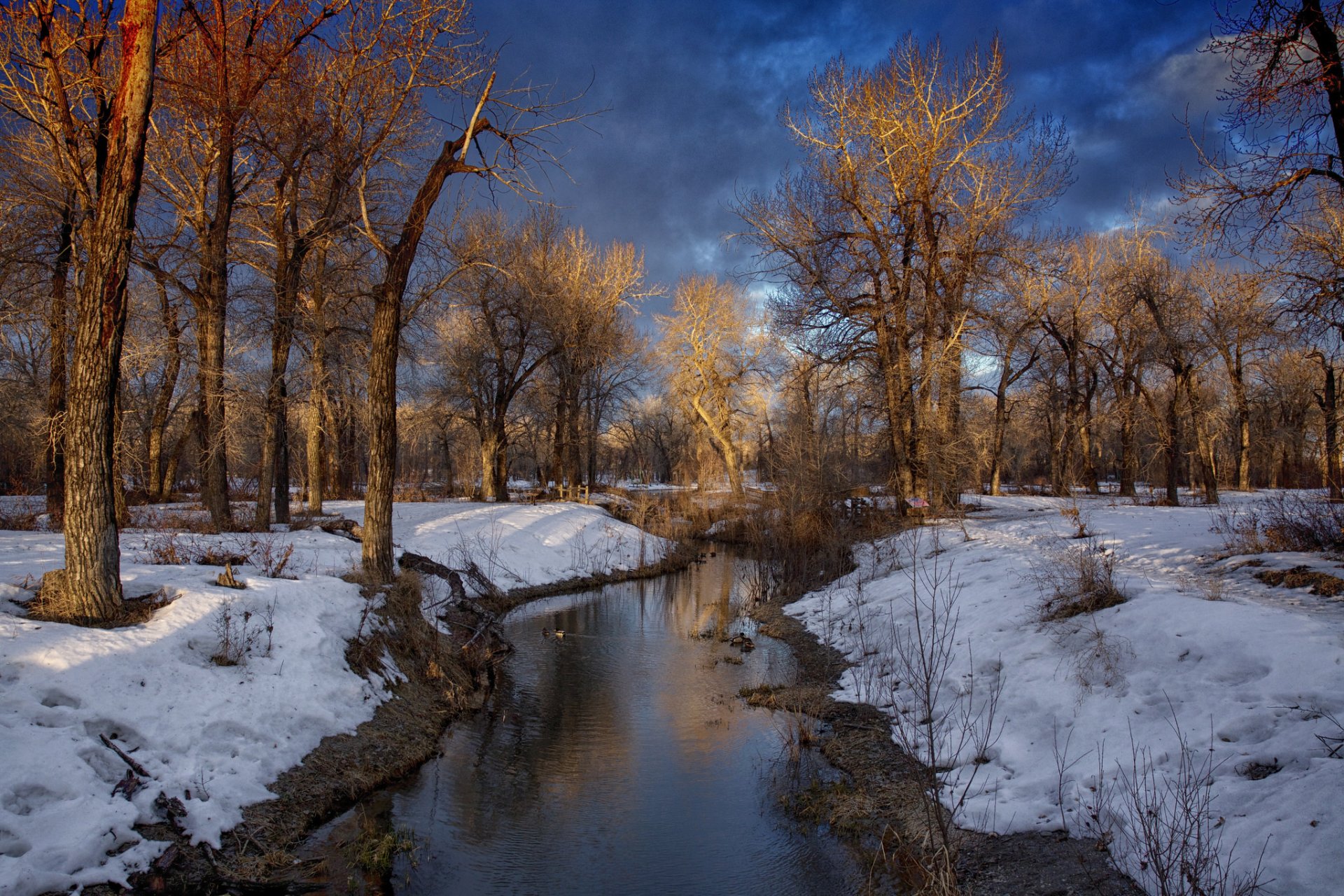 hiver forêt rivière nuages