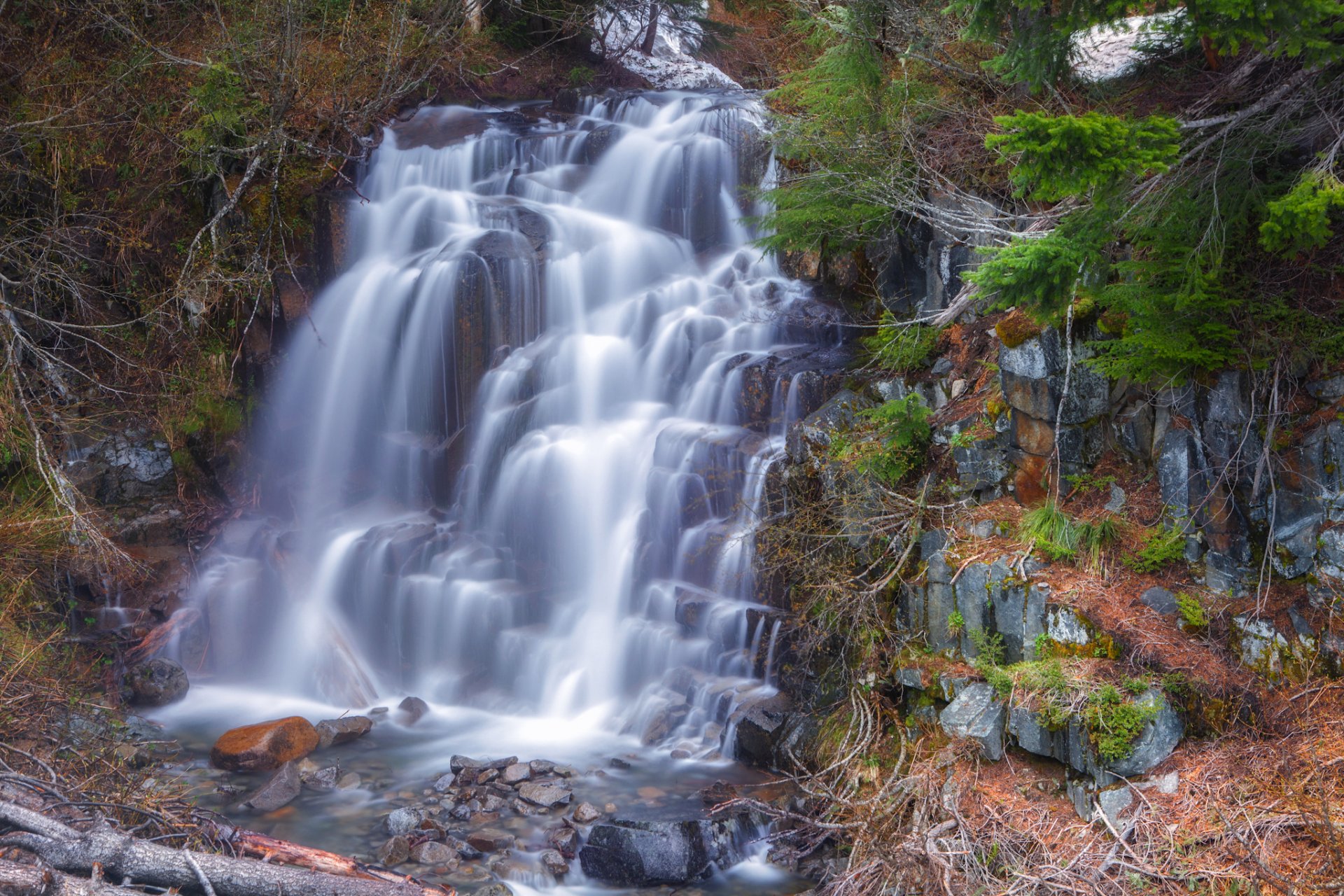 forêt arbres rivière ruisseau cascade pierres éclaboussures