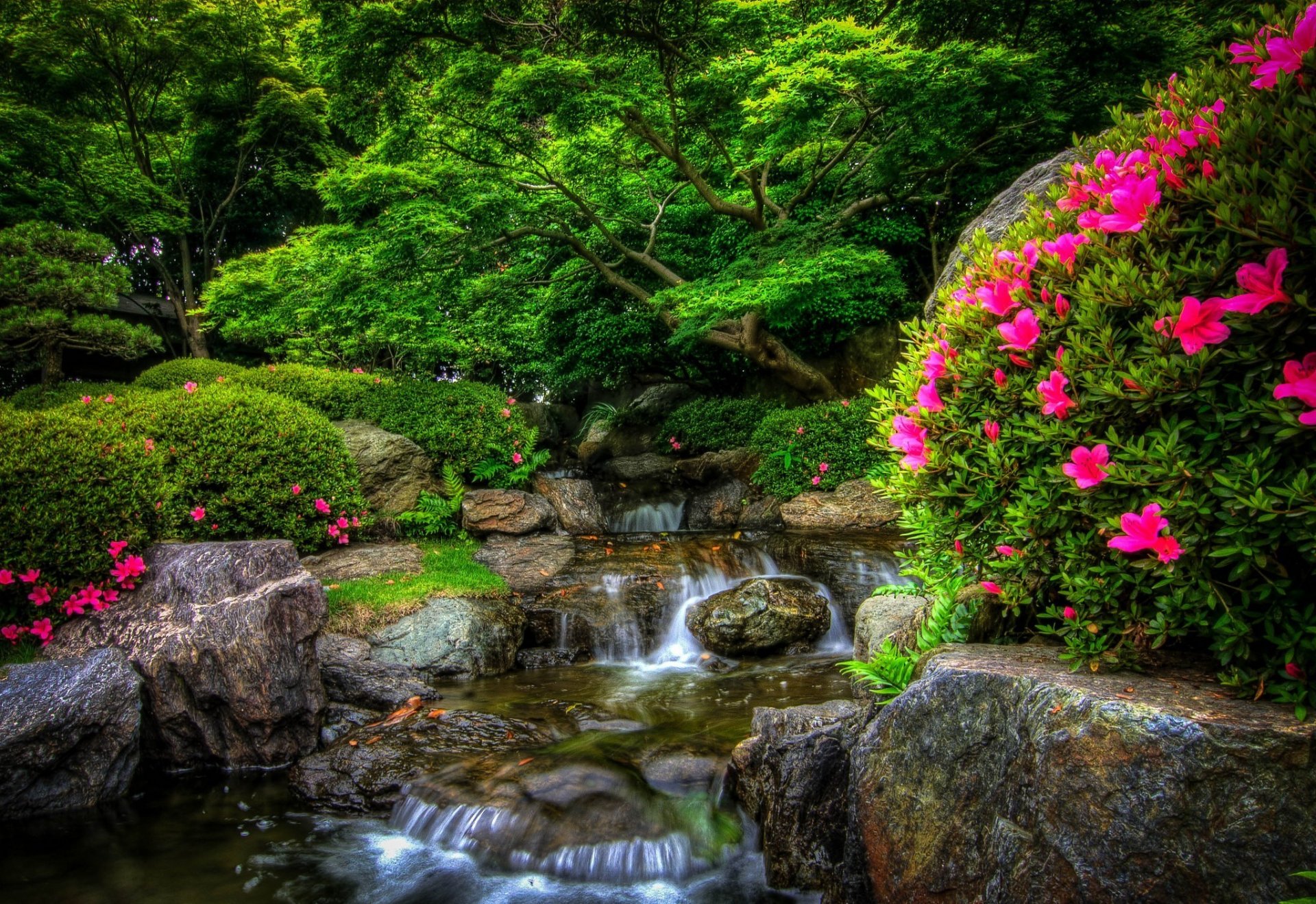 natur park wald fluss steine blumen