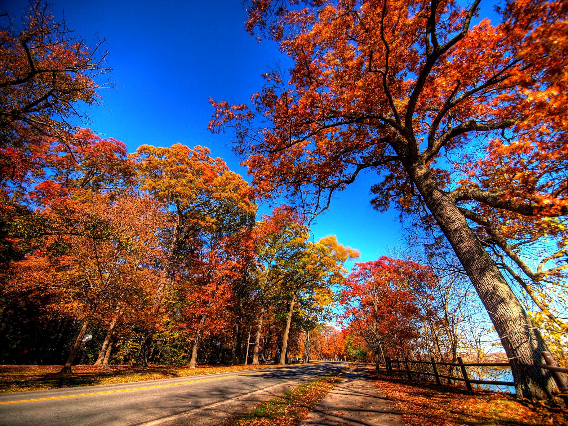 himmel bäume straße herbst blätter landschaft