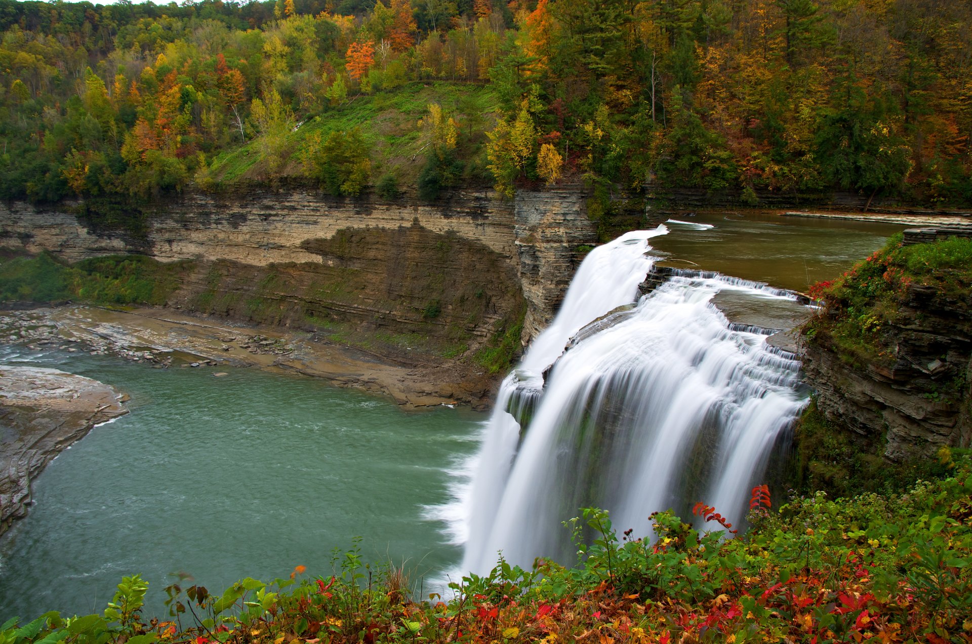 wald bäume herbst fluss wasserfall blumen