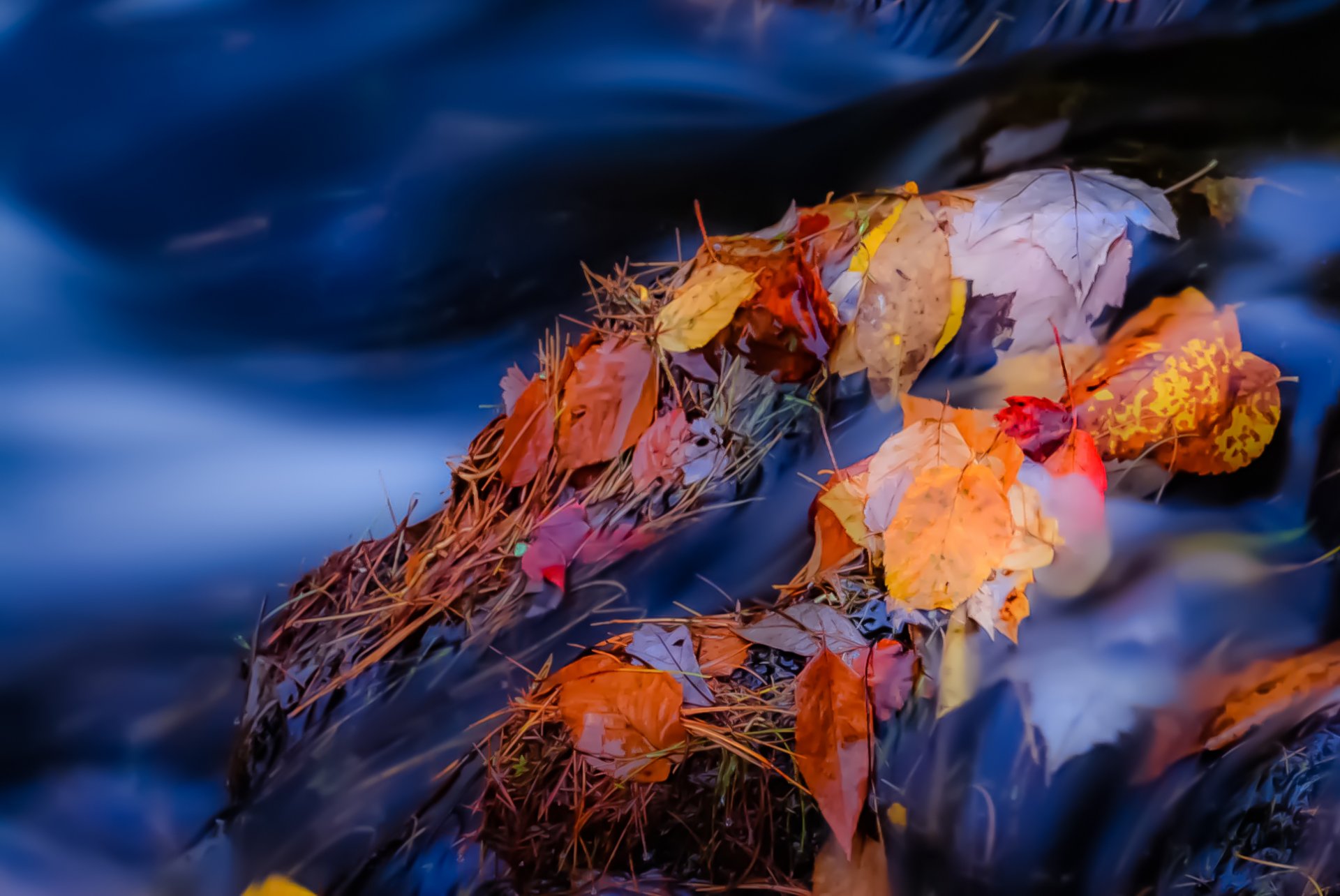 steine fluss bach strom blätter herbst