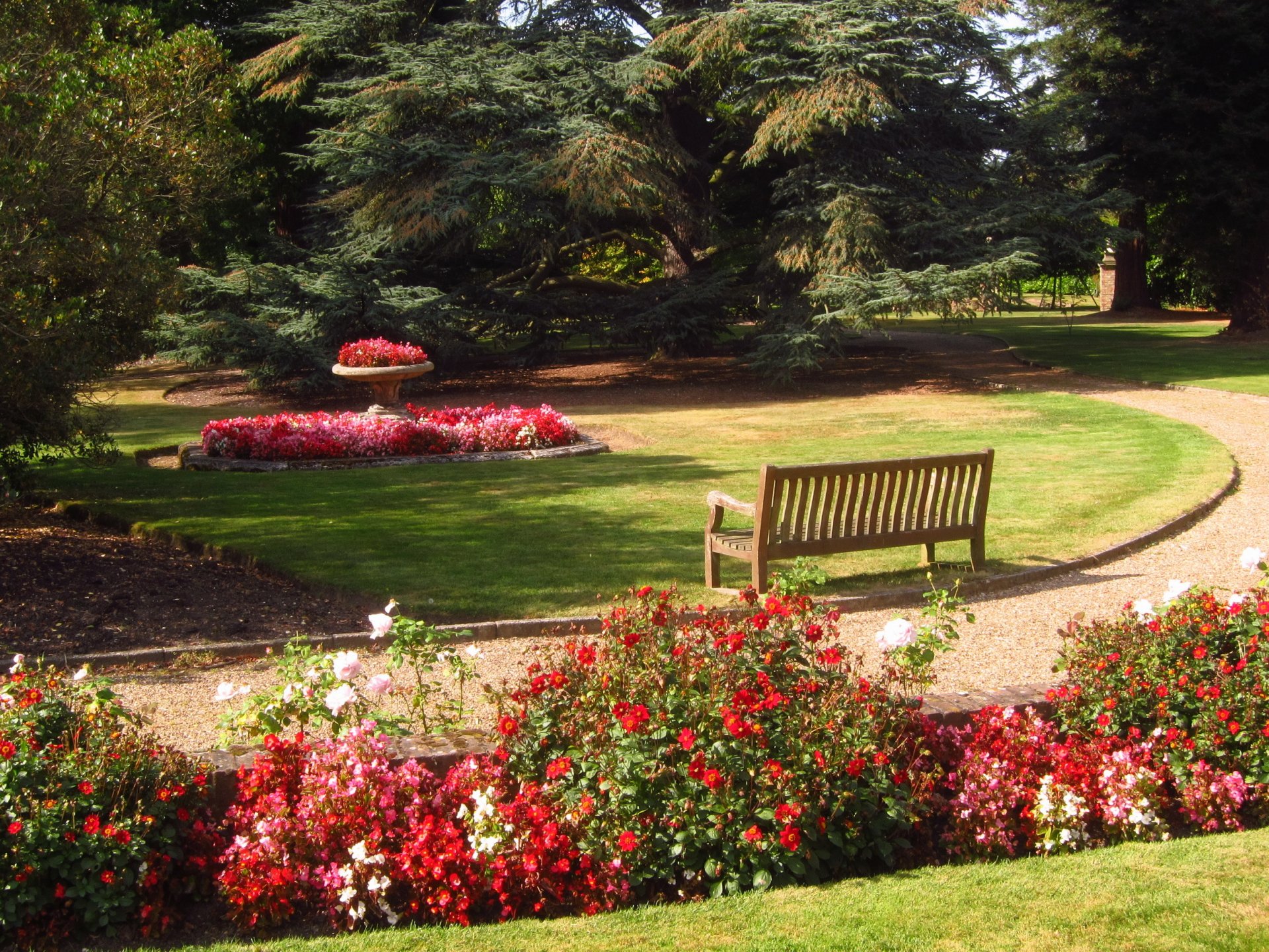 giardino inghilterra beale arboretum barnet panchina natura foto