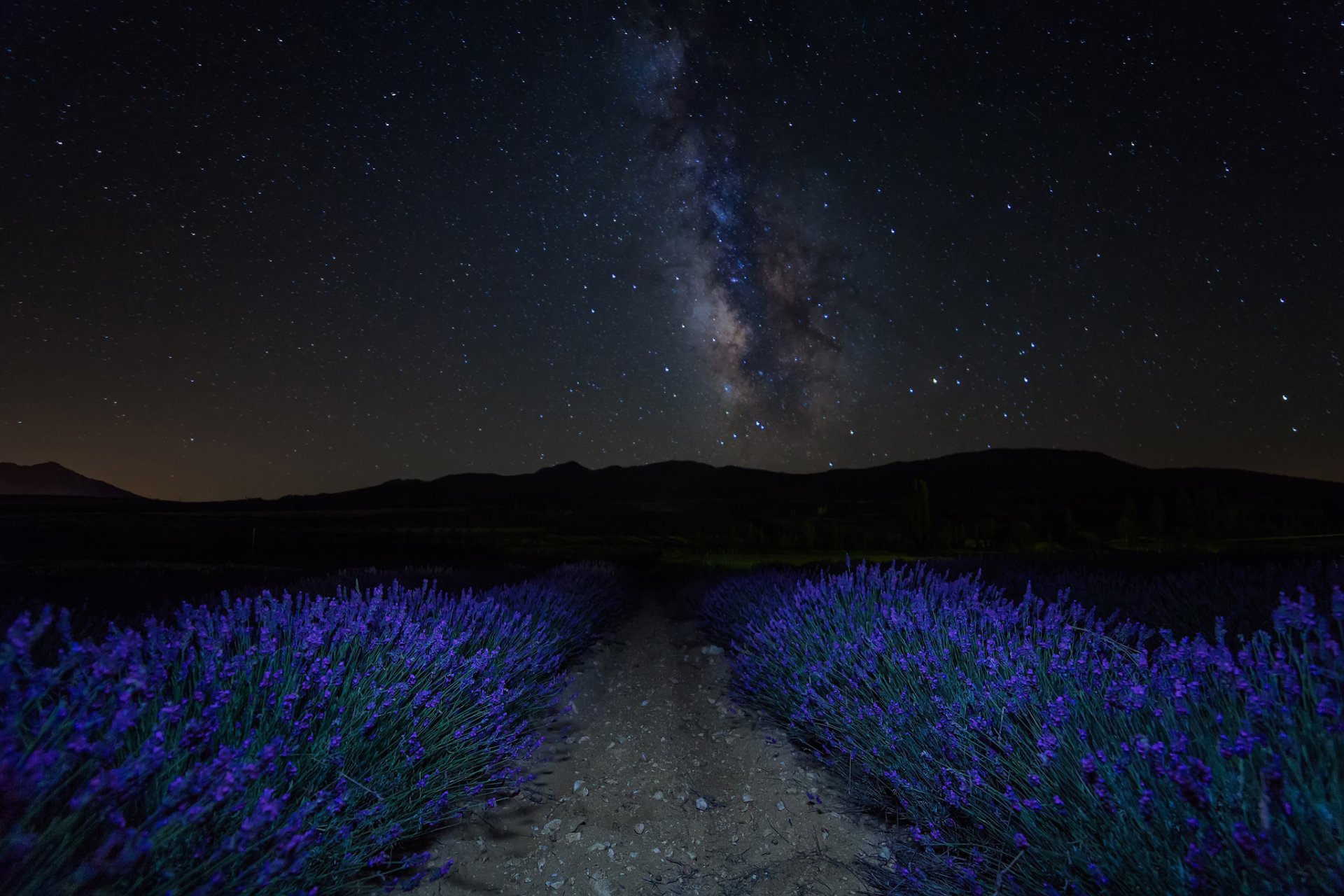 nuit ciel étoiles montagnes plantation fleurs lavande