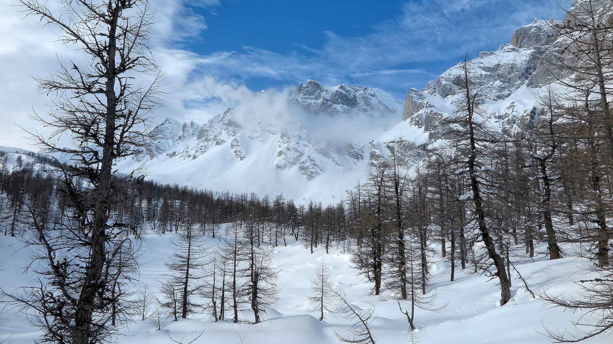 cielo montagne inverno alberi neve paesaggio