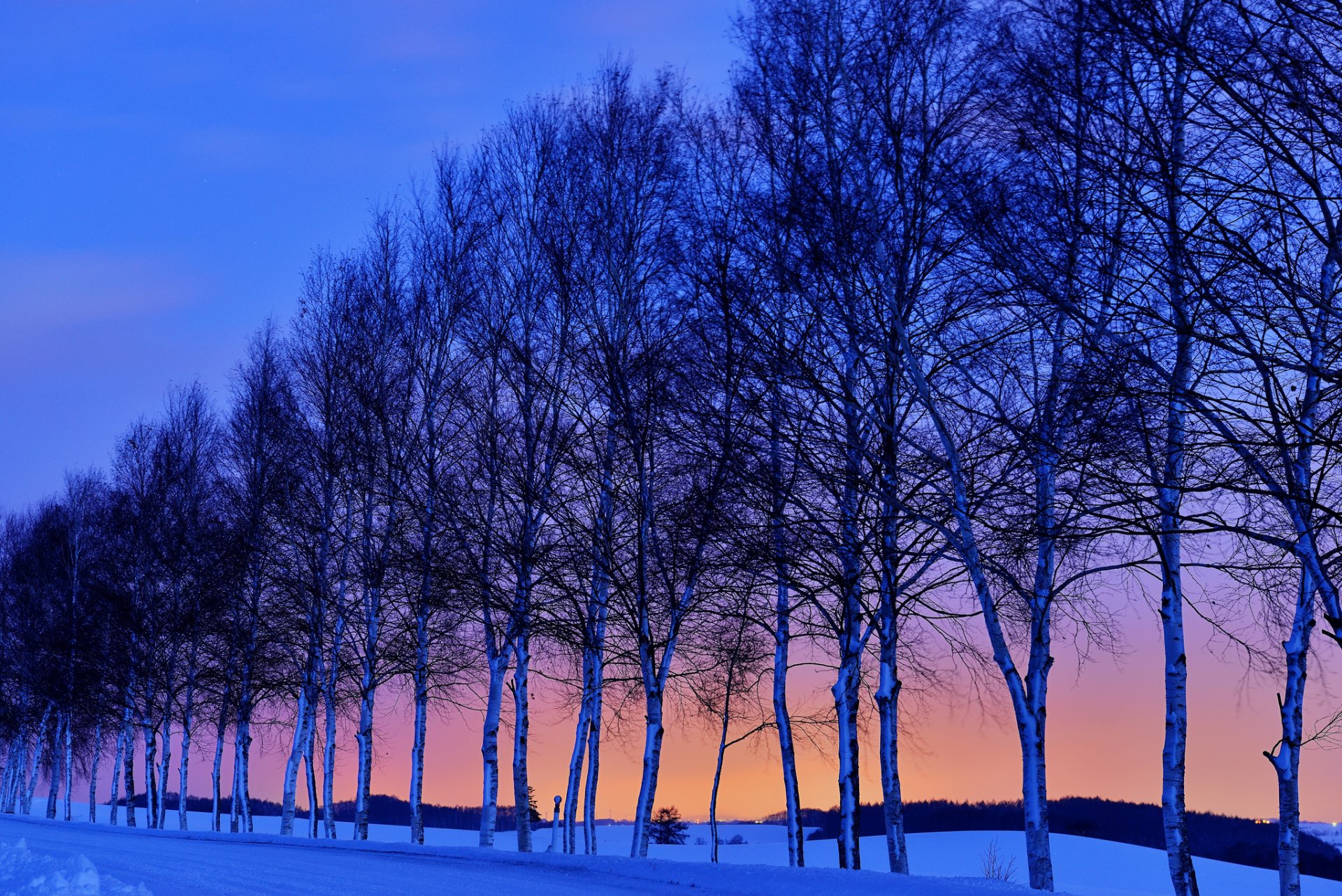 cielo tramonto inverno alberi neve strada