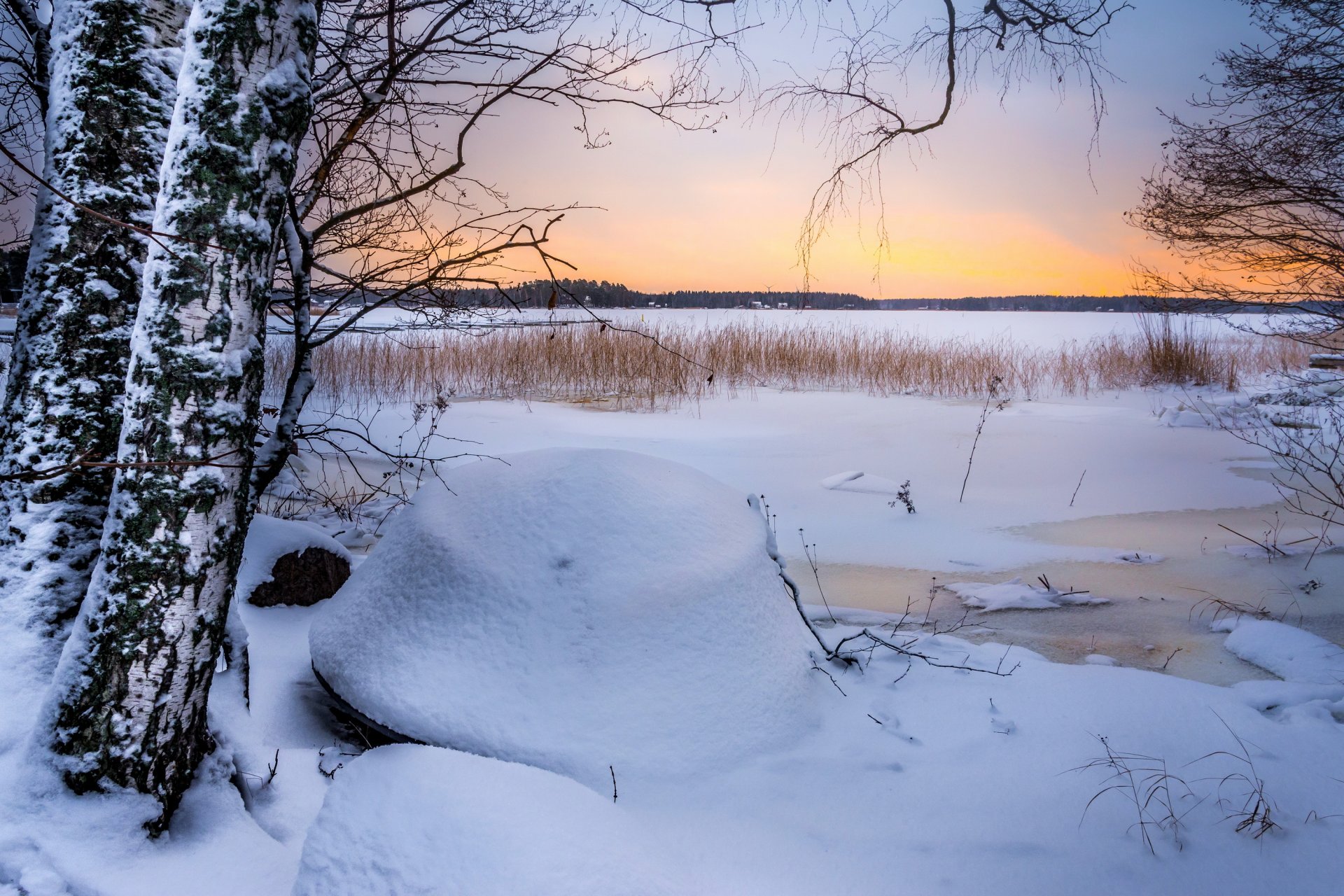 árboles campo invierno nieve hielo puesta del sol