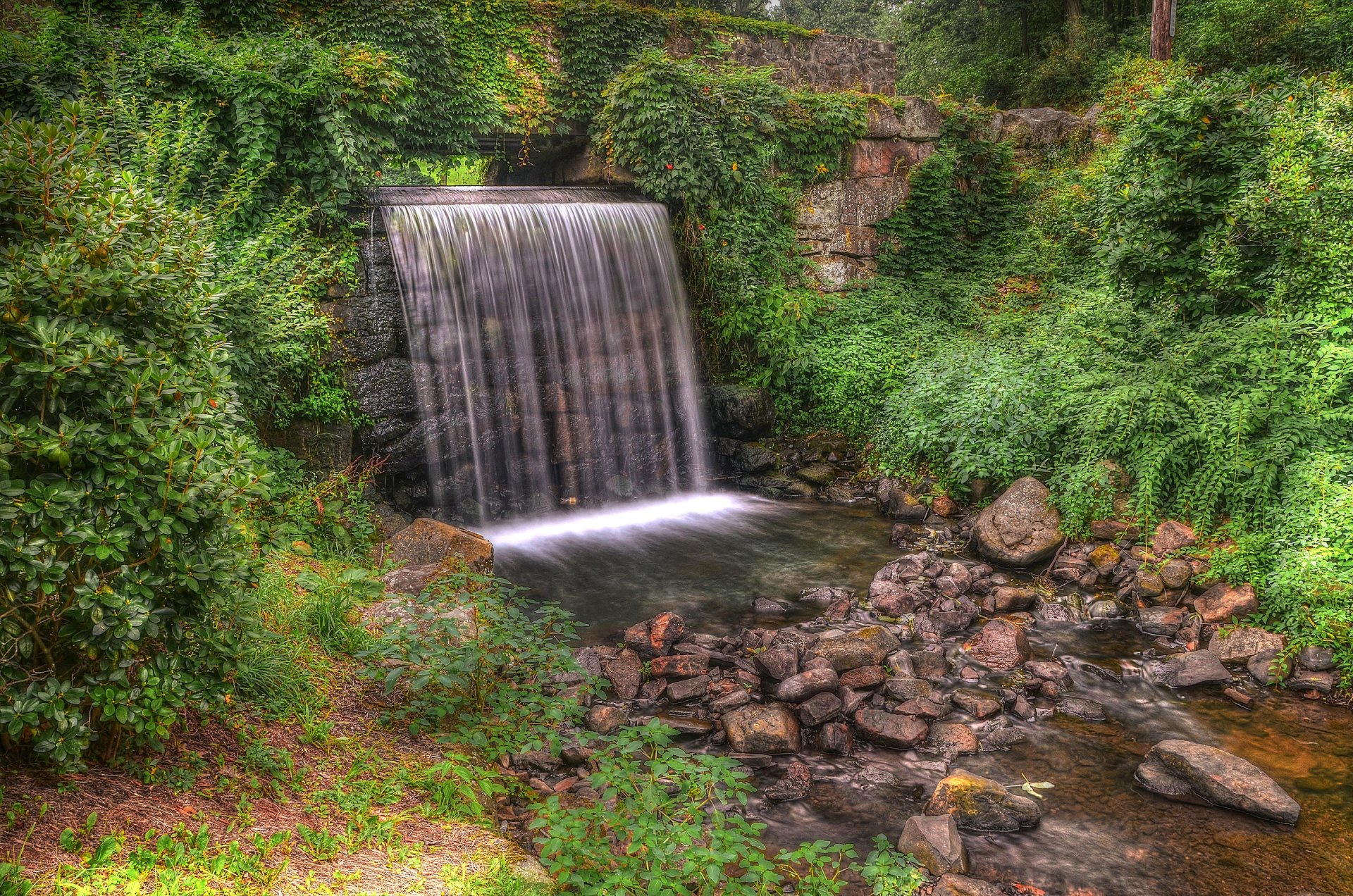 park las drzewa strumień wodospad skały hdr