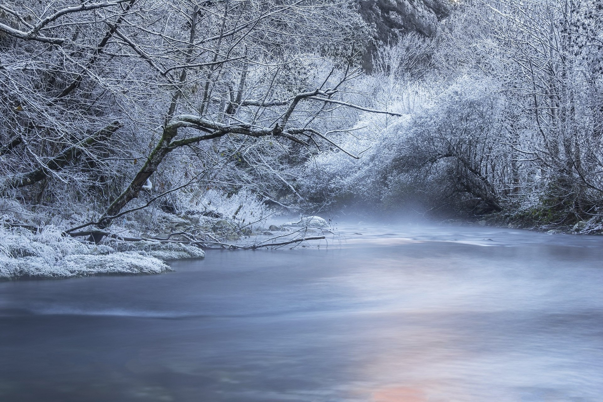 invierno río árboles bosque nieve