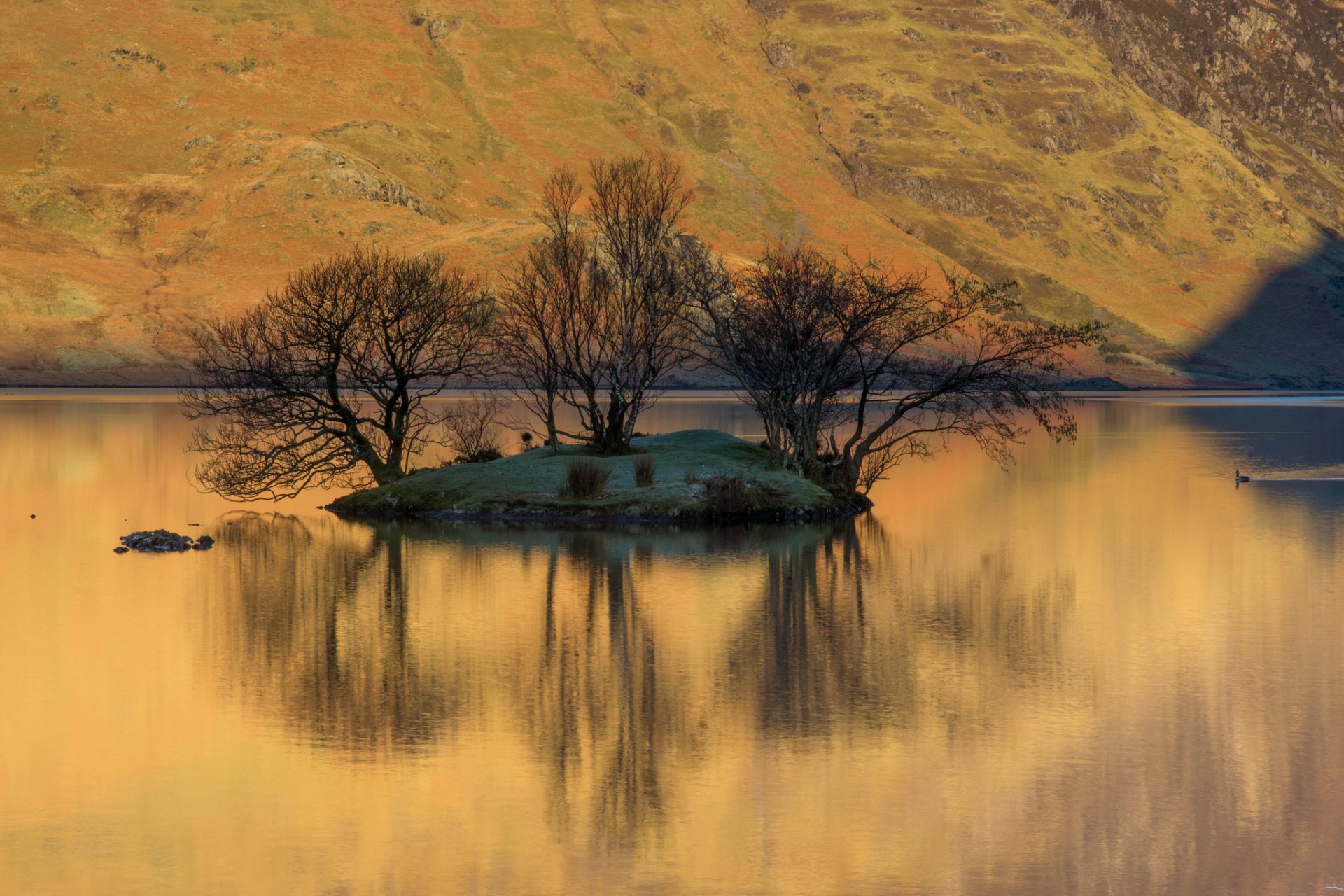 mountain slope lake the island tree reflection