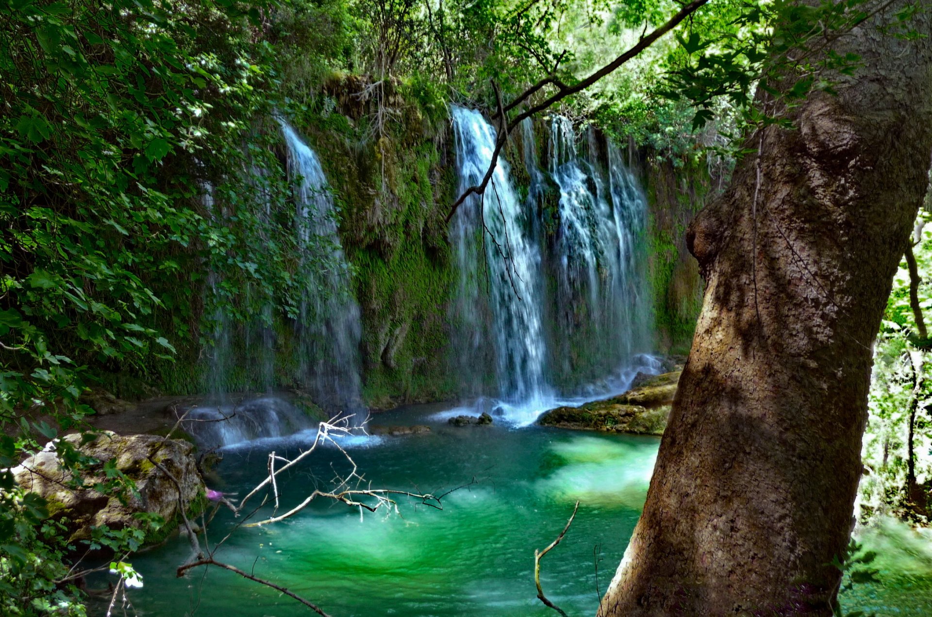 türkei antalya wasserfall kurshunlu kurshunlu wasserfall naturpark baum zweige blätter grüns steine moos wasser