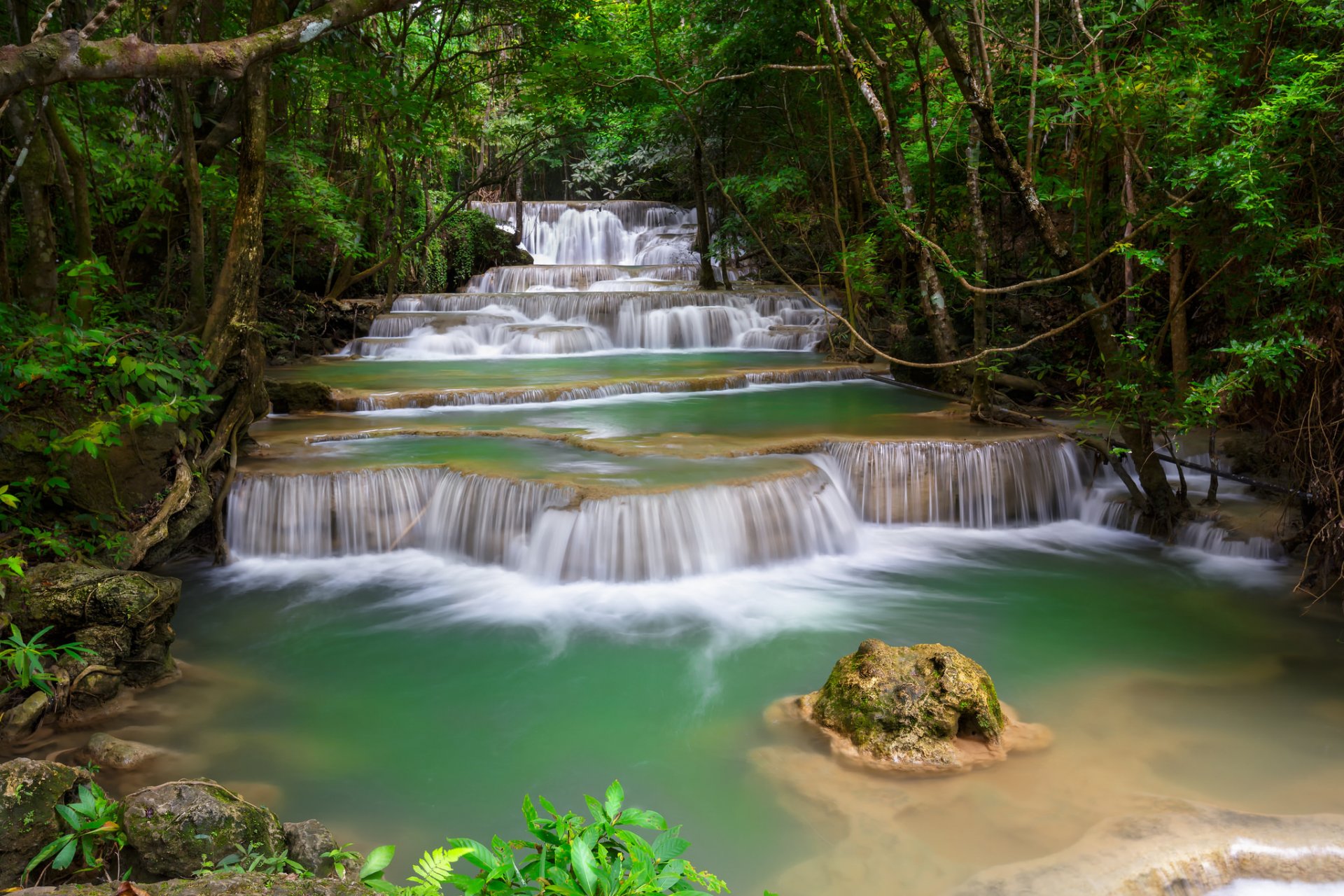 bosque árboles cascada cascada río corriente piedra matorral