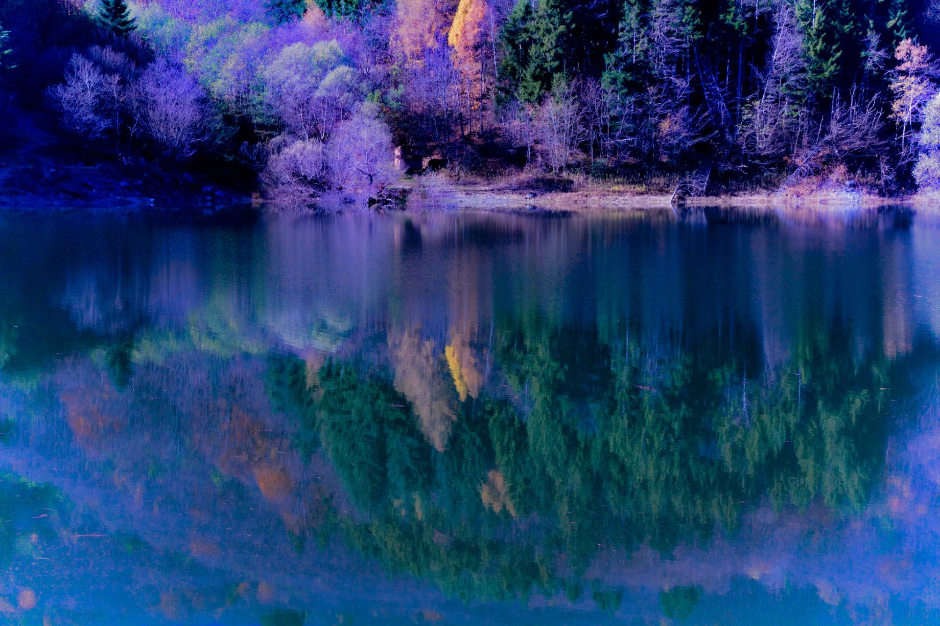 hang wald see herbst reflexion bäume