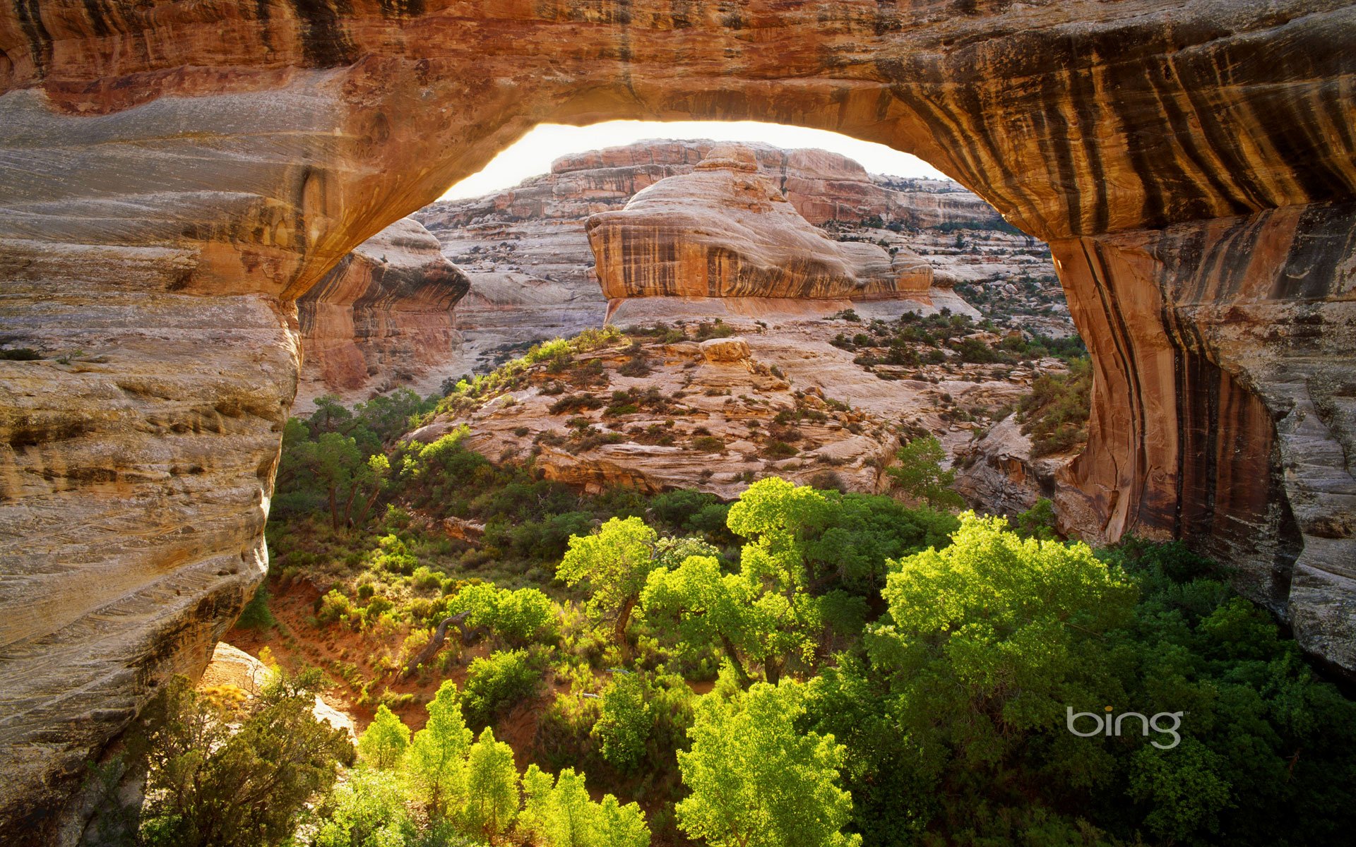 natürliche brücken national monument utah usa berge felsen brücke bogen bäume