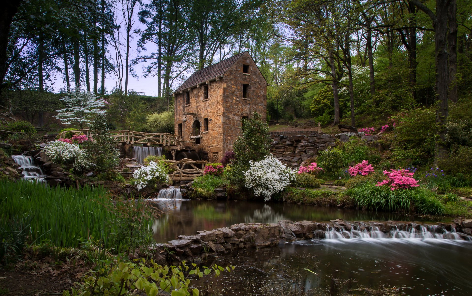 forest bush tree creek stones waterfall water mill