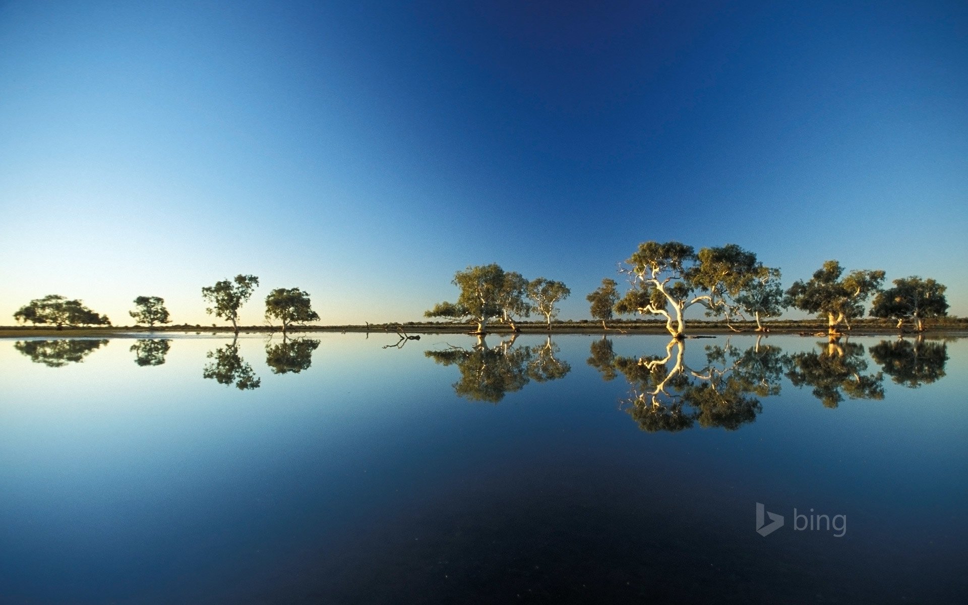 woda niebo drzewa australia wyciek odbicie