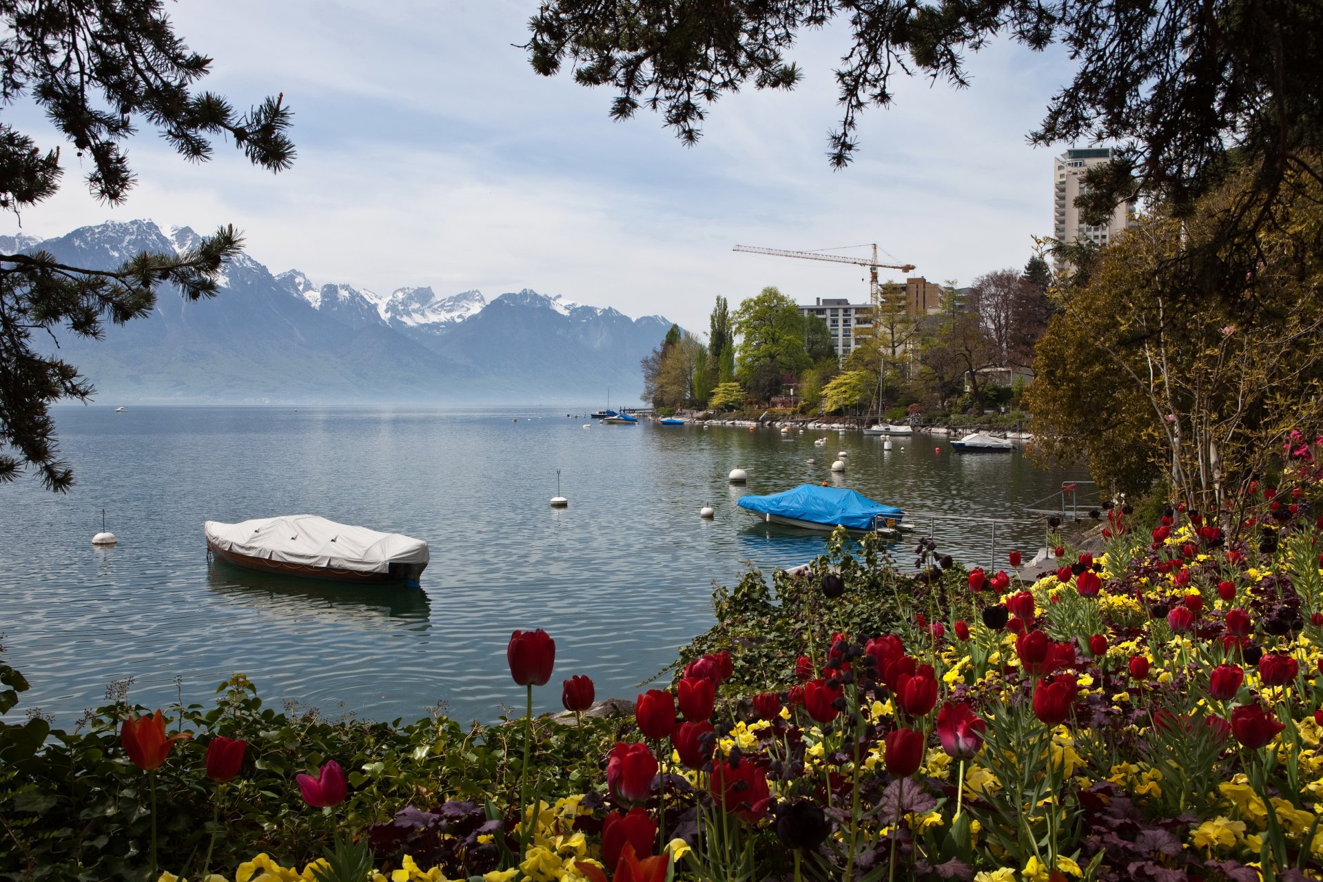 lago suiza tulipanes montañas montreux naturaleza foto