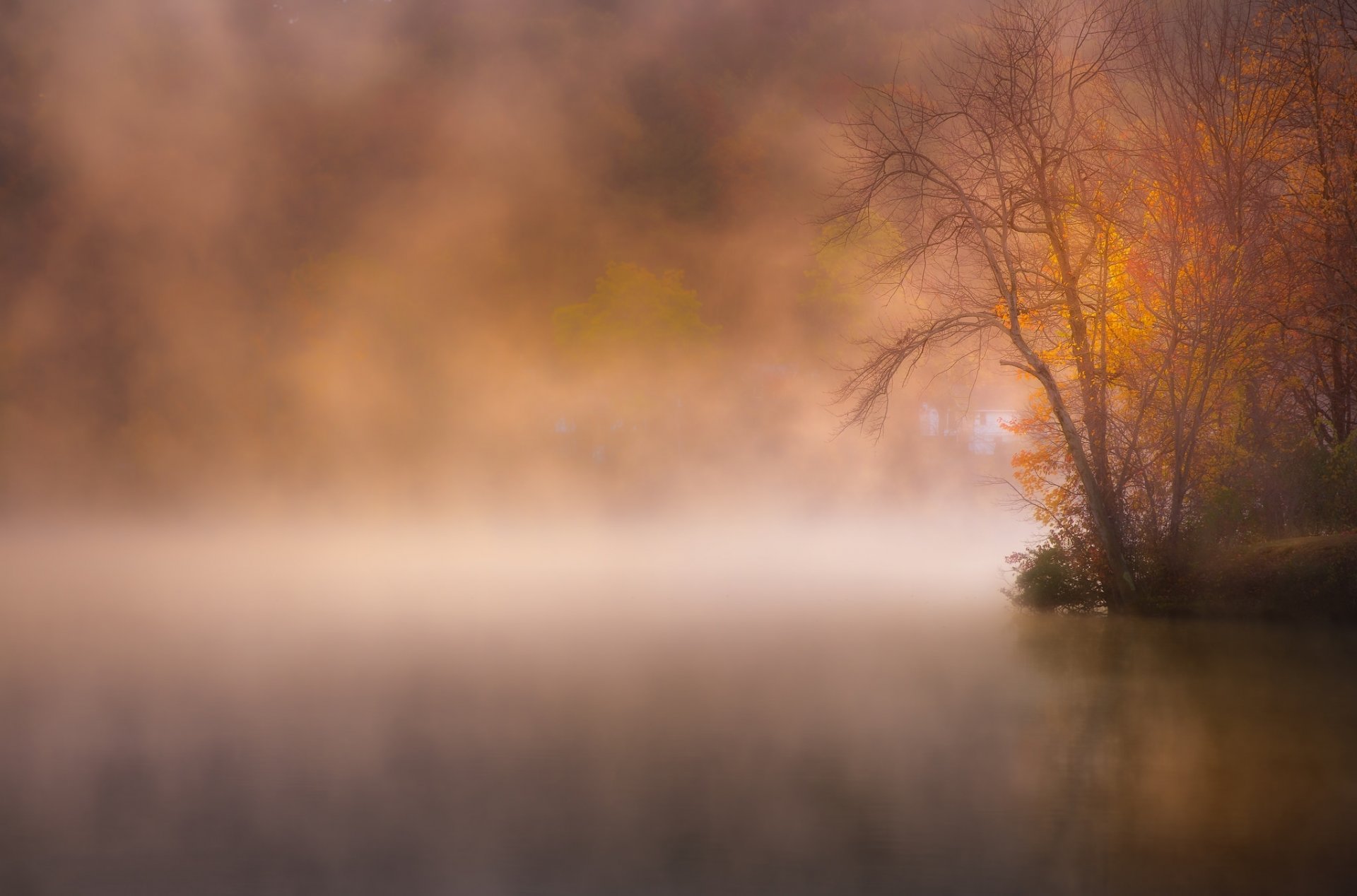 parco lago nebbia autunno