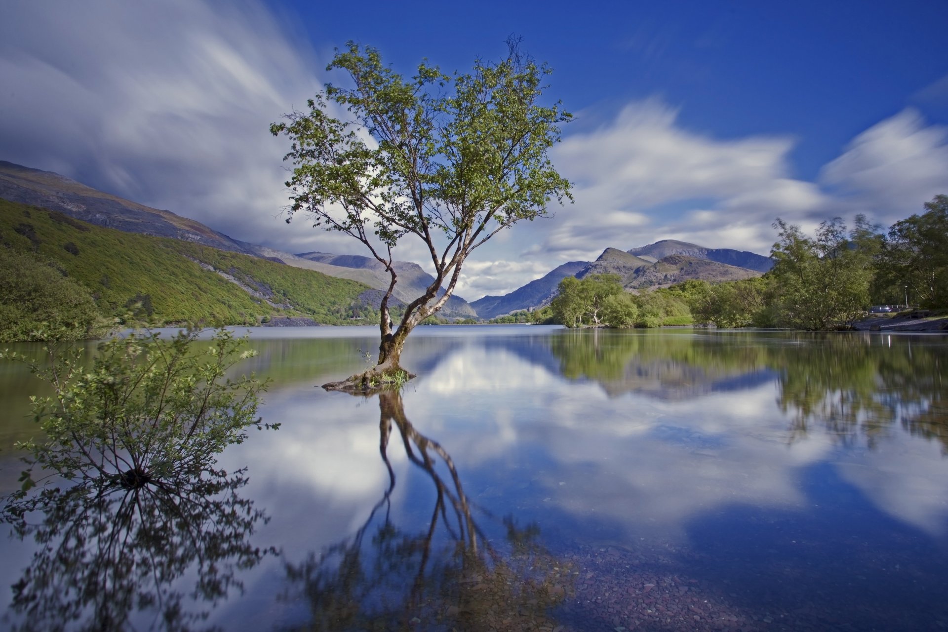 anglia północna walia snowdonia park narodowy góry jezioro drzewo