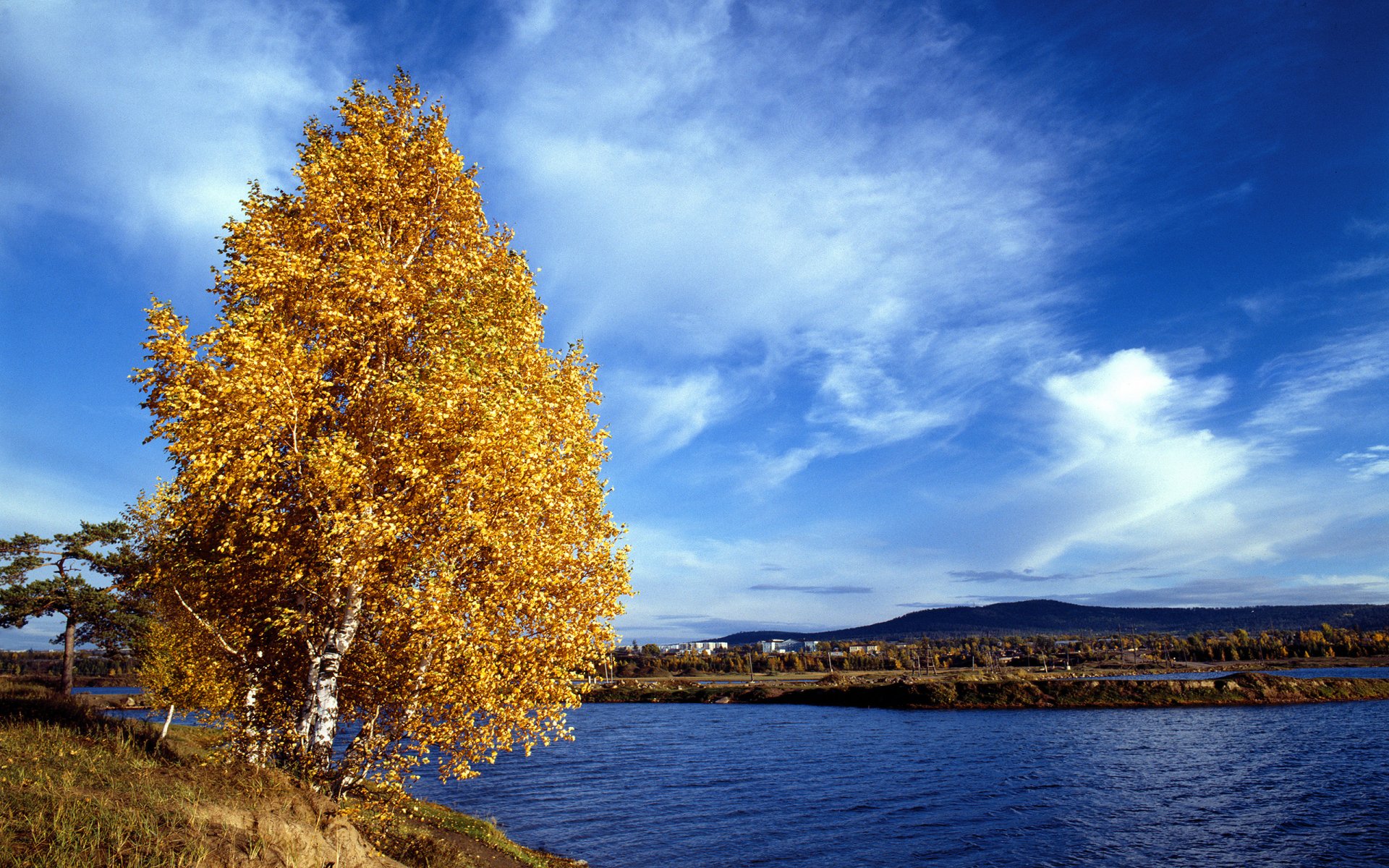 autunno albero betulla montagne cielo nuvole paesaggio fiume riva