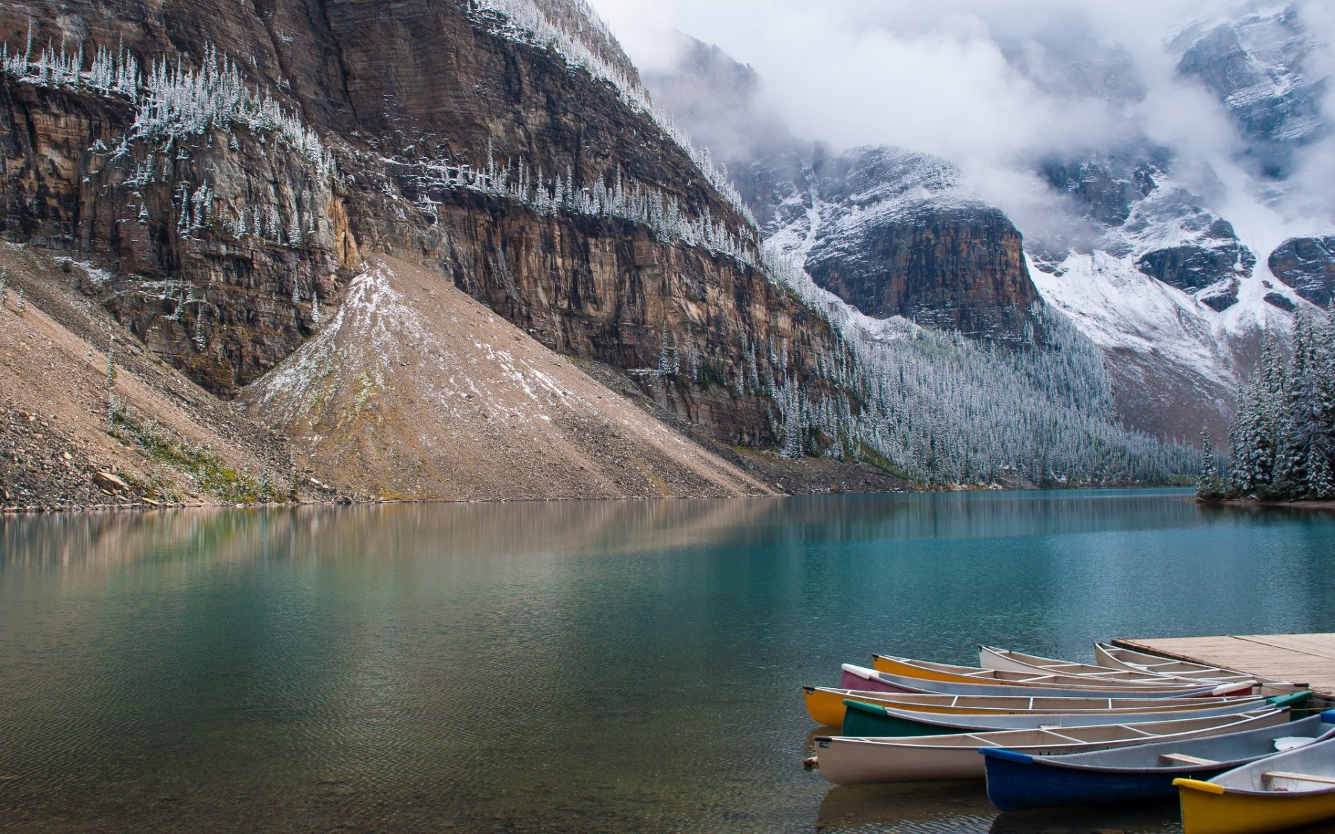 canada mountain tree forest nature lake