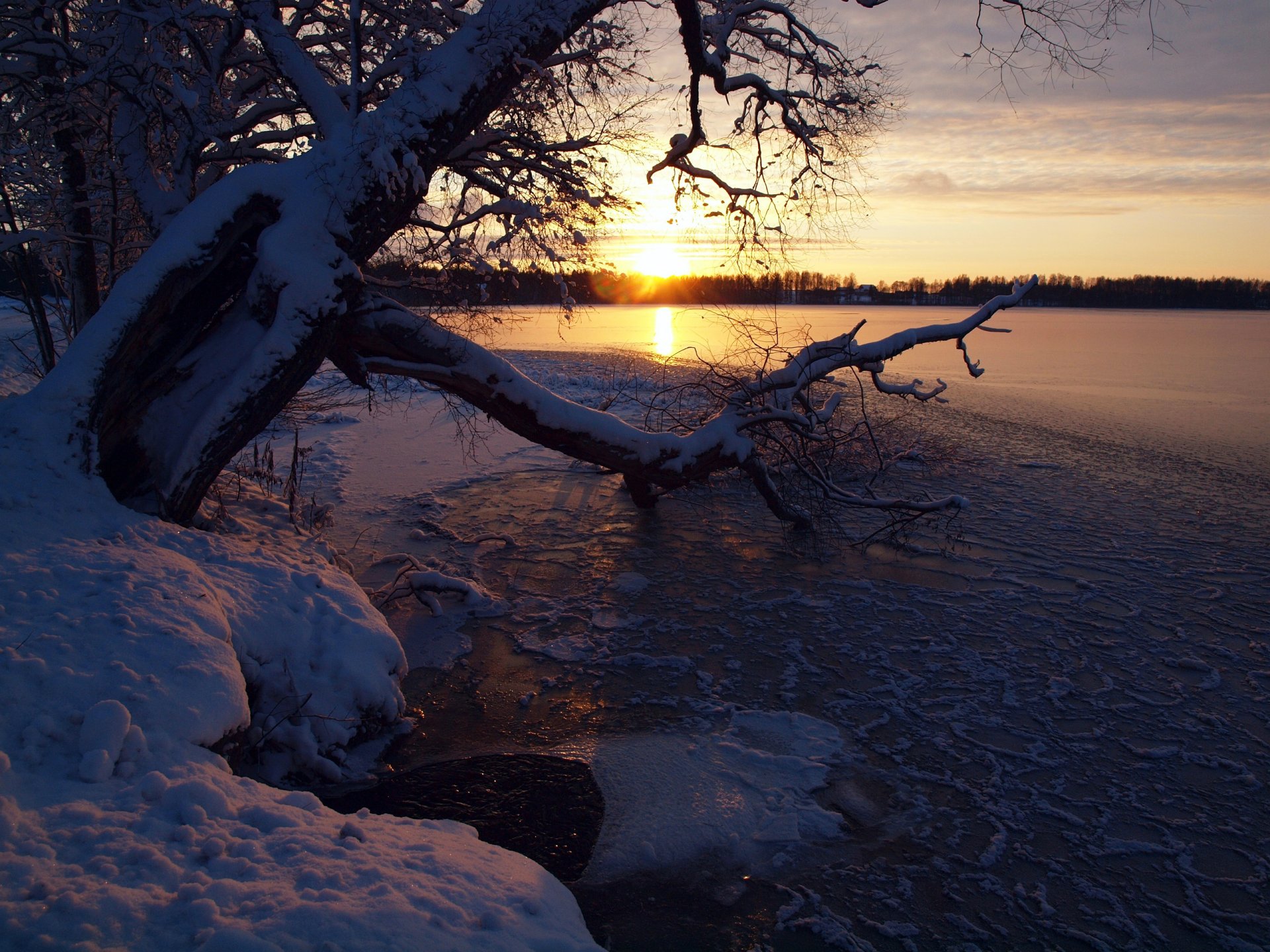 himmel sonnenuntergang winter fluss schnee baum