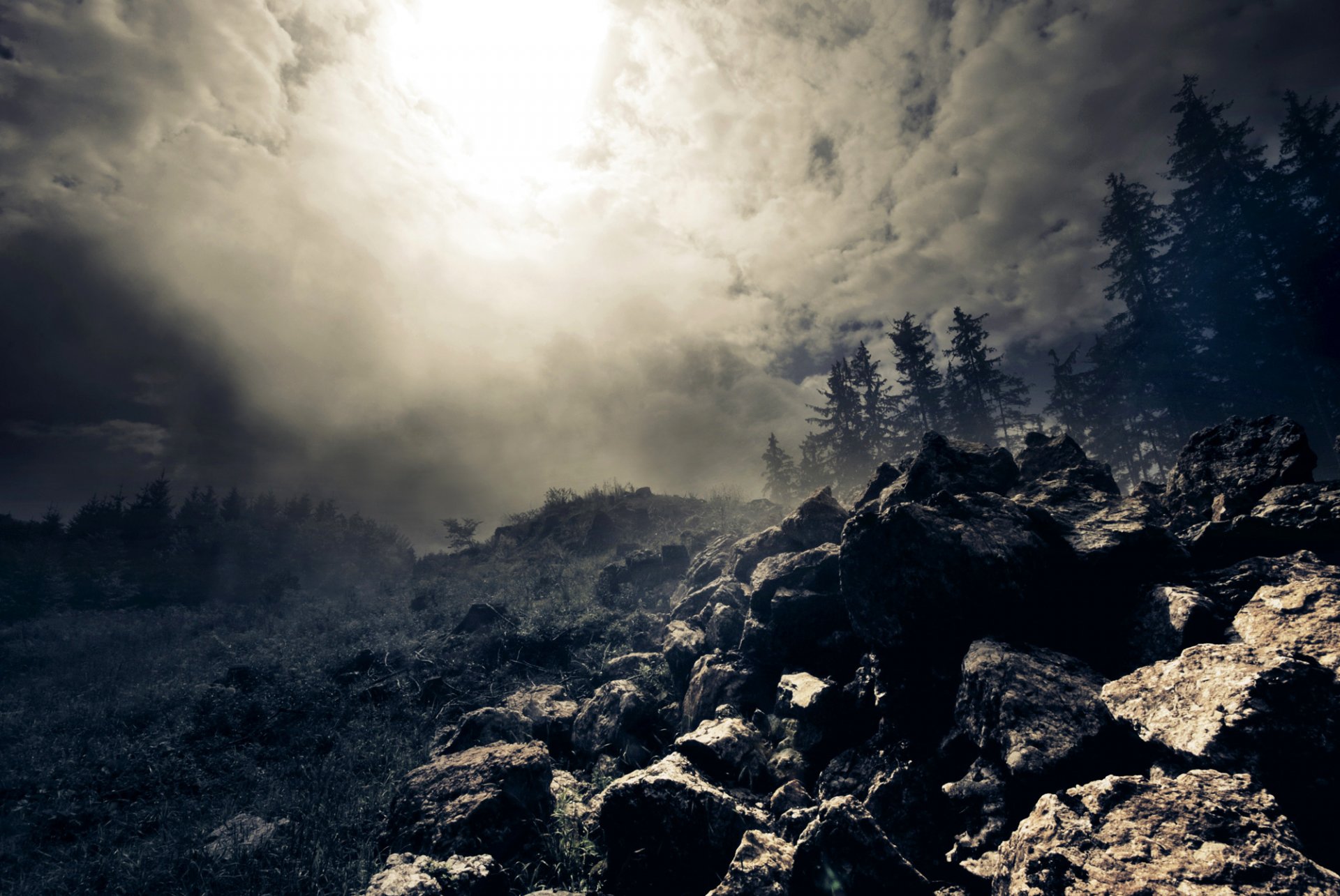 rocas bosque nubes niebla