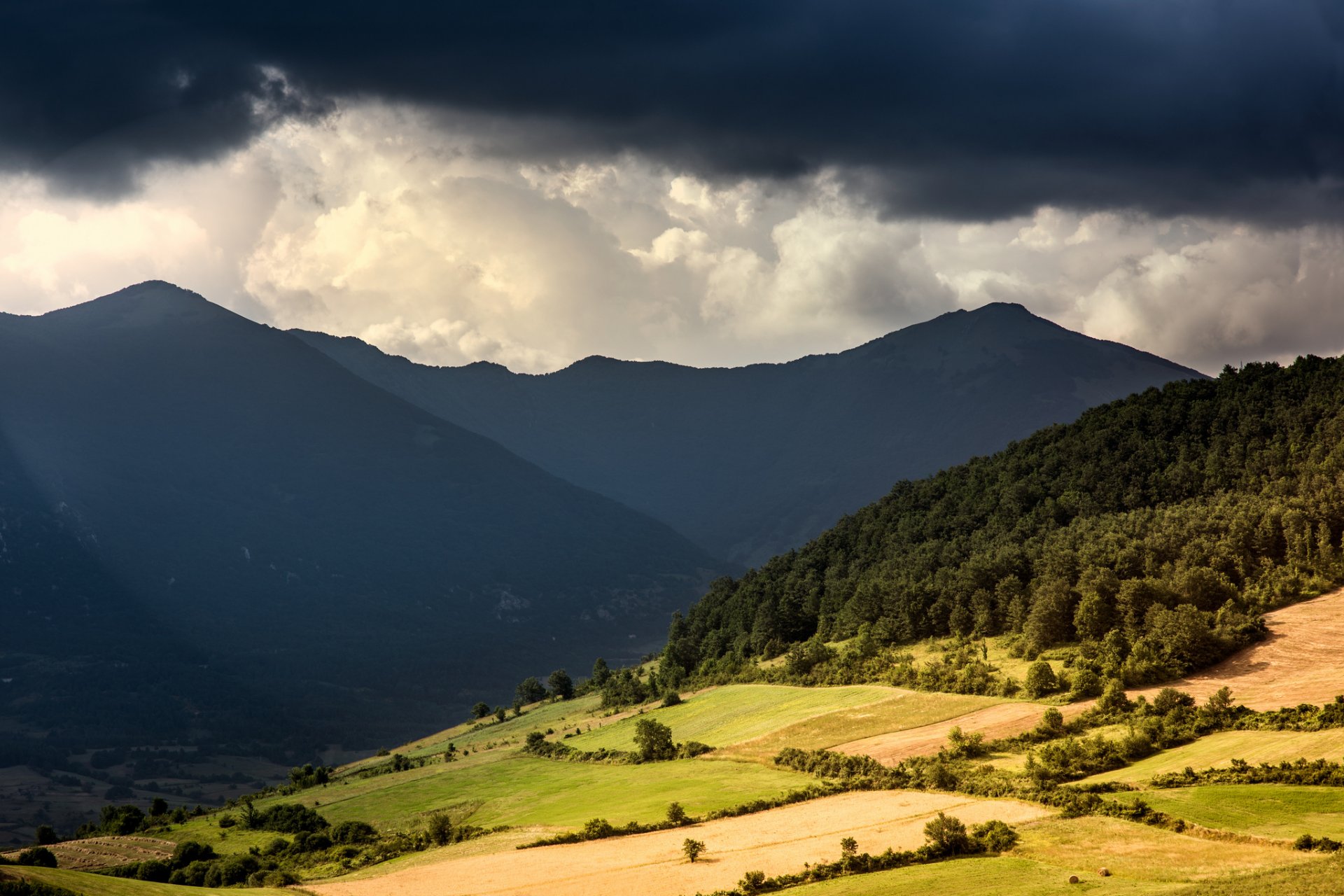 mountain valley forest cloud