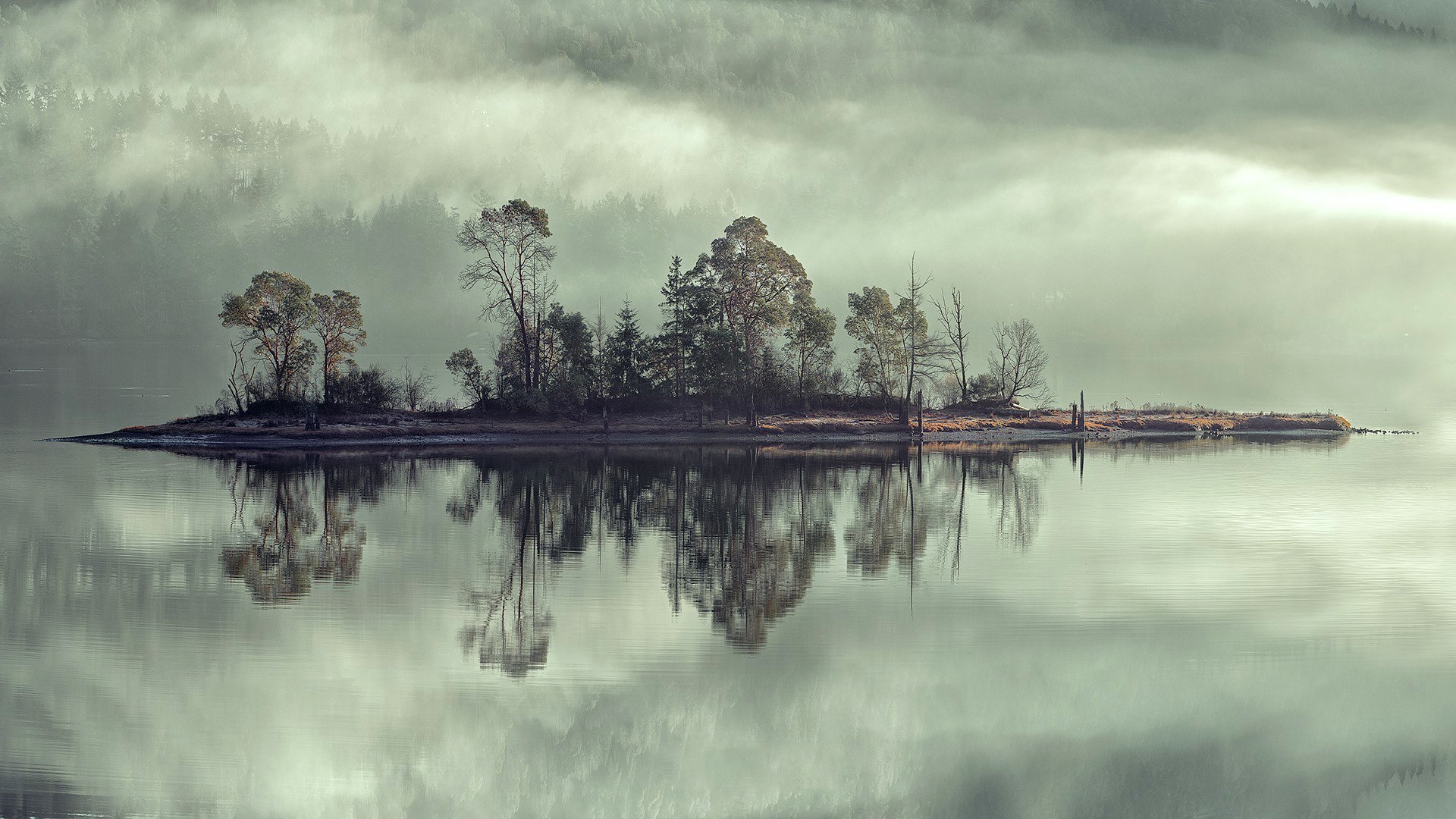 cielo nebbia isola lago fiume alberi